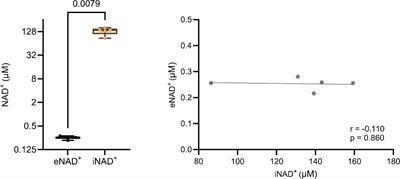 Optimized protocol for quantification of extracellular nicotinamide adenine dinucleotide: evaluating clinical parameters and pre-analytical factors for translational research